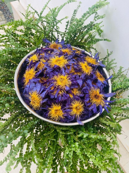Dried Blue Lotus Flower – Herbal Tea