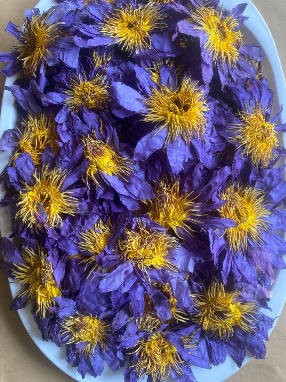 Dried Blue Lotus Flower – Herbal Tea