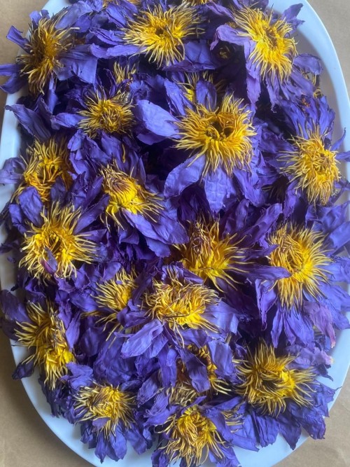 Dried Blue Lotus Flower – Herbal Tea